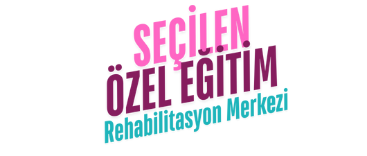 Seçilen